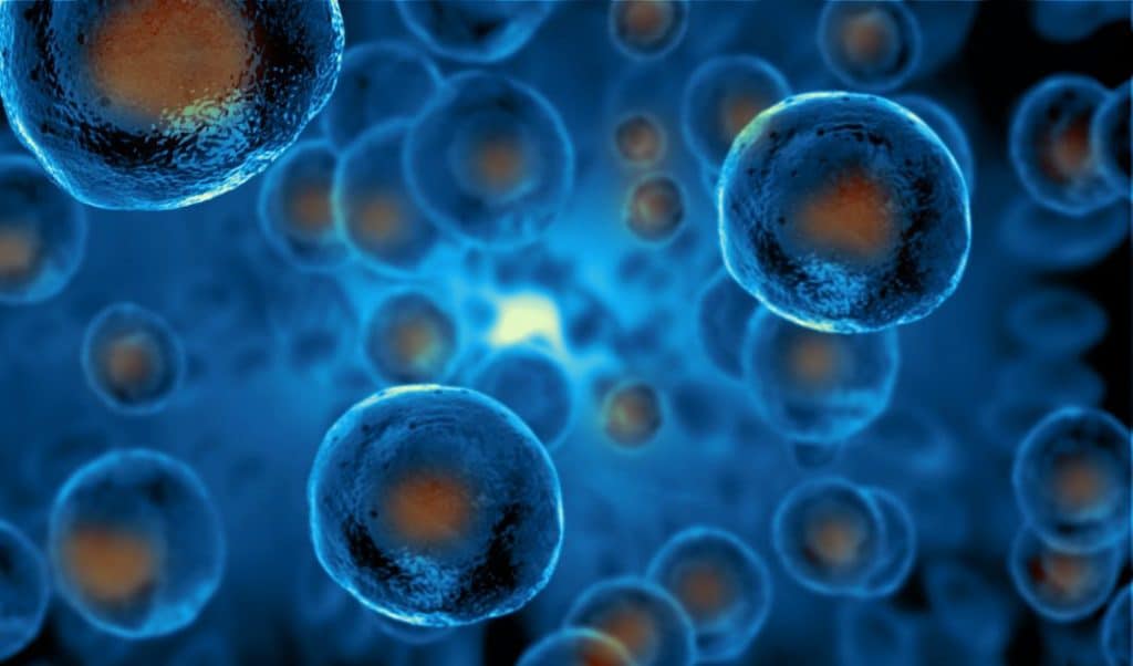 Cellules souches : Un bond de géant réalisé par une entreprise Française