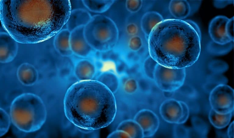 Cellules souches : Un bond de géant réalisé par une entreprise Française