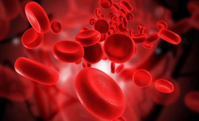Maat Pharma propose un traitement contre les cancers du sang.
