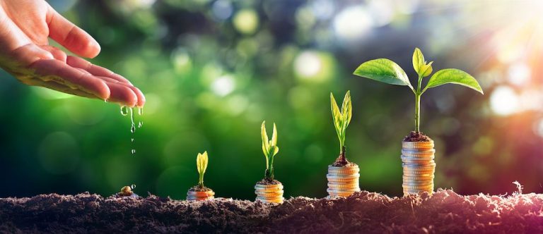 Pechel lance un fond durable d'investissement avec l'aide de Sparring capital.