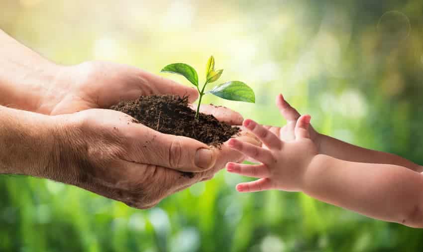 Règlementation pesticide : un enjeu majeur !