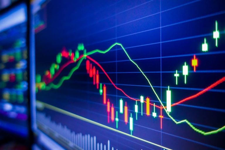 La Néo-bourse régionale du Grand Est, "Europa" ouvre ses portes !