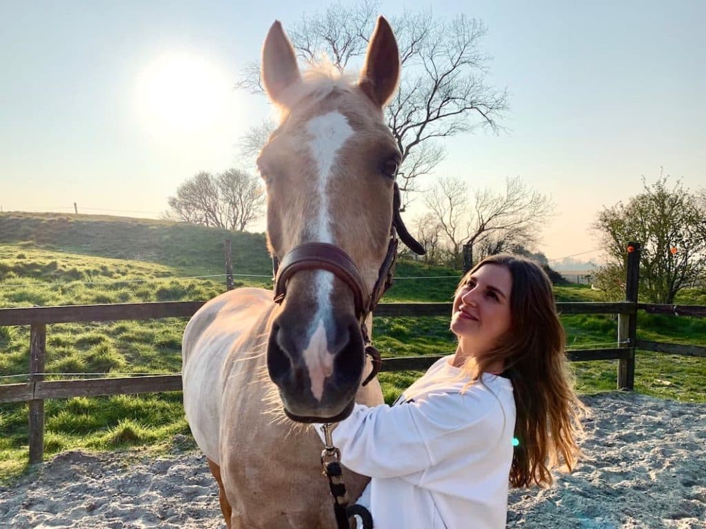 Palominow, jeune pousse novatrice s’occupe de vos chevaux