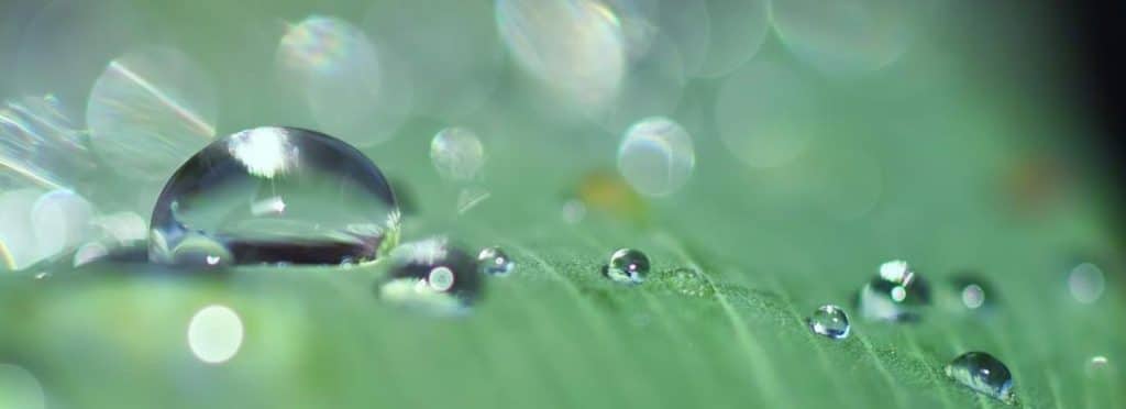 Agriculture, une charte pour une meilleure gestion de l’eau