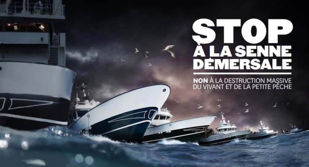 Industrie de la pêche, question de survie !