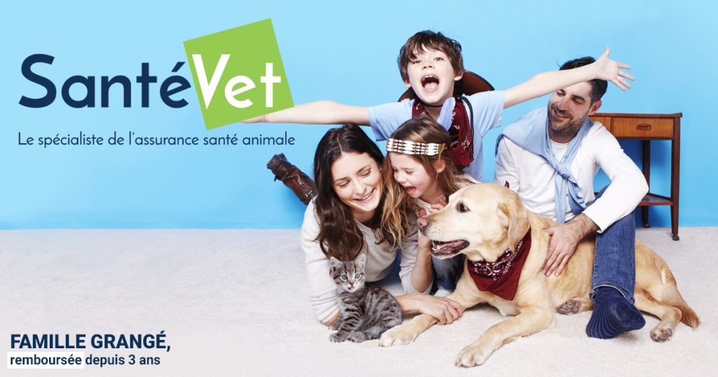 SantéVet veut créer le « doctolib » pour animaux