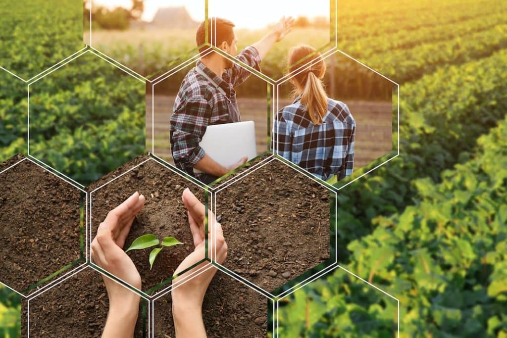 Les producteurs agricoles français sont inquiets