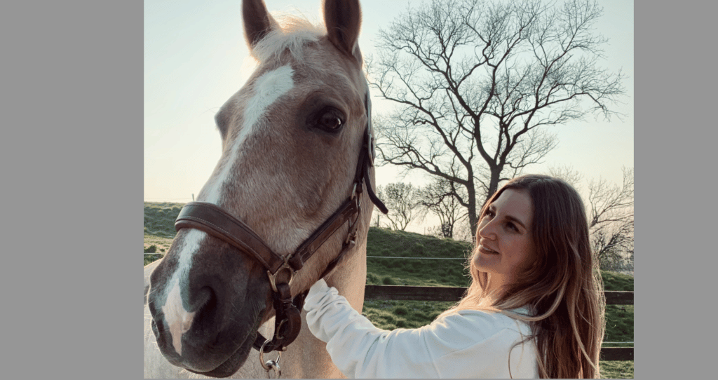 Palominow, plateforme pour propriétaires de chevaux