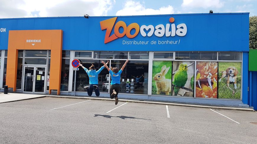Zoomalia accélère son développement