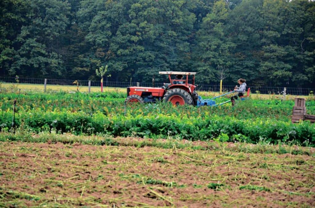 Carrefour aide nos territoires agricoles