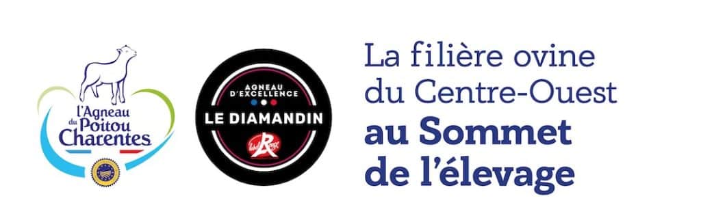 ADPAP, la filière ovine du Centre-Ouest au sommet de l’élevage