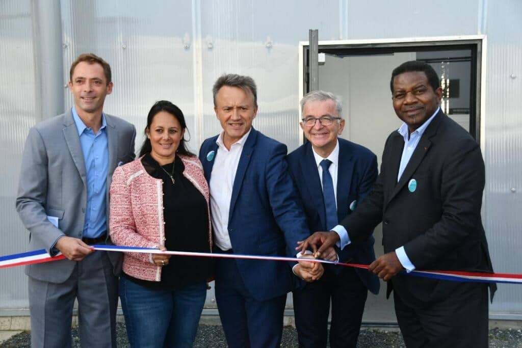 INRAE soutient la filière brebis et chèvres en France