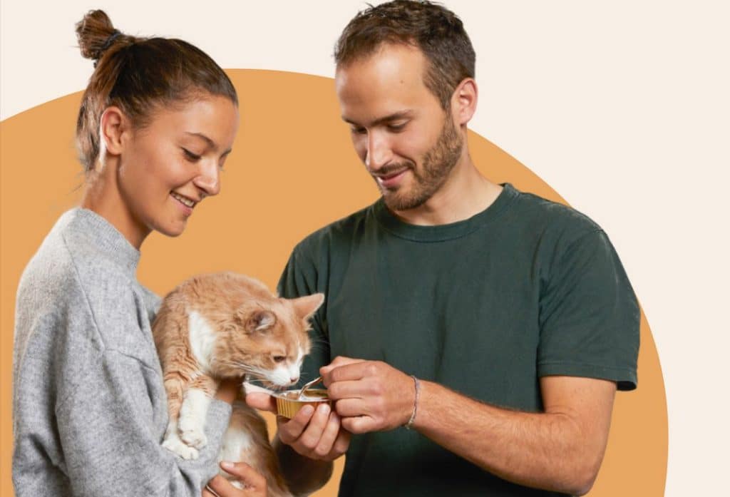 Ziggy, l’alimentation qui redonne le pouvoir aux chats
