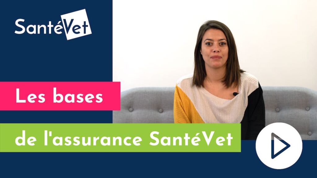 SantéVet veut devenir le leader de l’assurance santé animale